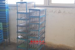 遠(yuǎn)威SXQ5160GSL清洗掃路車用的康明斯ISDe185 30發(fā)動機的配件及維修
