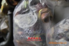 上饒SR5120XQCH囚車用的康明斯EQB210-20發(fā)動機(jī)的配件及大修