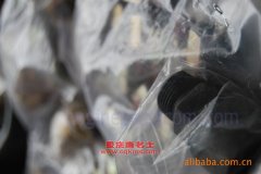 神野ZJZ5200PXYDPG7AZ蓬式運輸車用的錫柴CA6DF2D-21發(fā)動機(jī)的配件及保養(yǎng)
